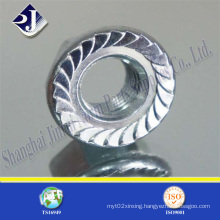 Hex Flange Nut with Zinc Coating